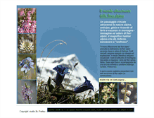 Tablet Screenshot of fiorialpini.net